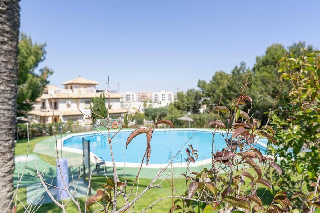 Casa Lilly-Rose, A Beautiful 3 Bedroom Detached Villa A Short Walk To The Villamartin Plaza & Golf Course 外观 照片